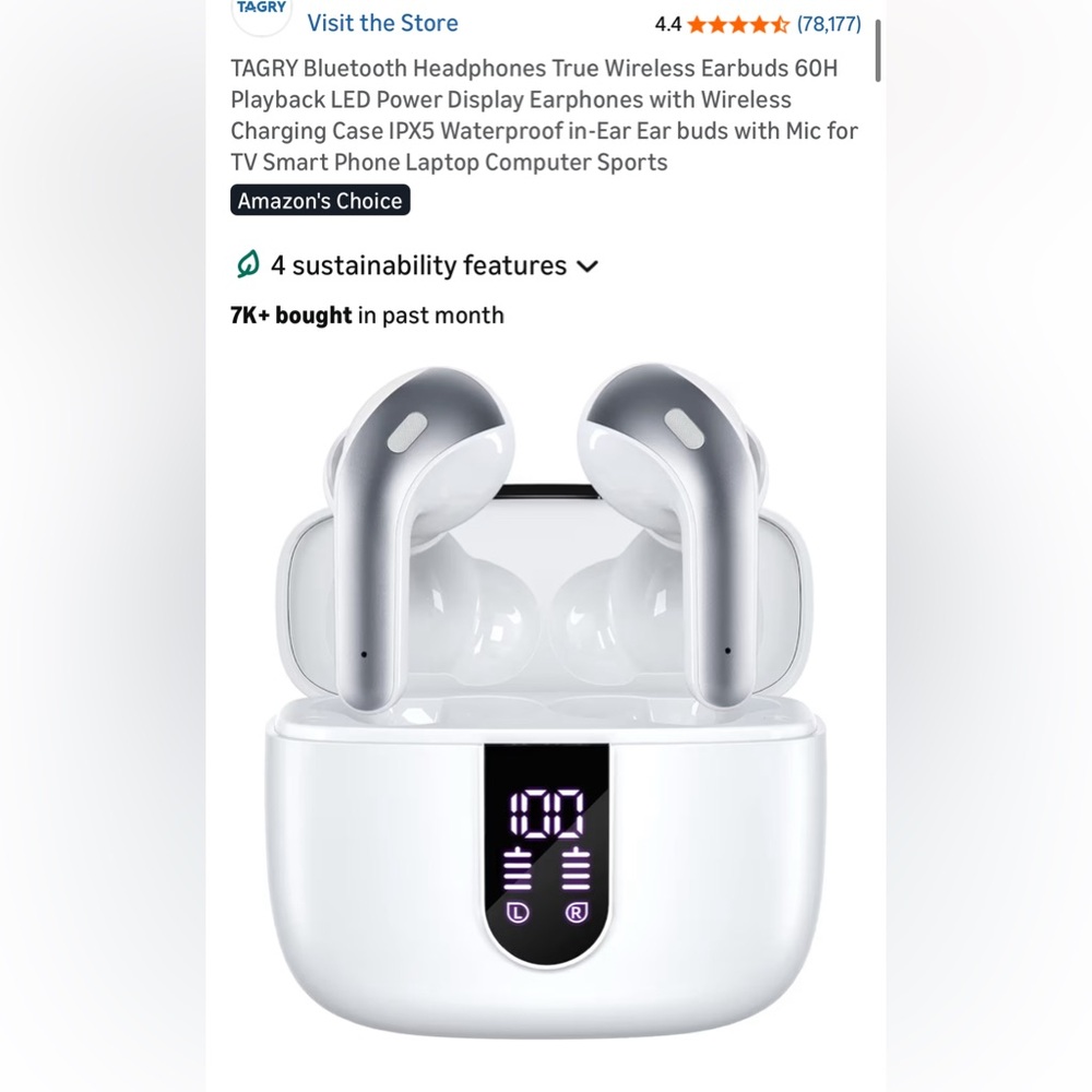 True Wireless Earbuds - Silver and White
